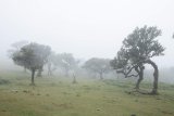 News24 | Tuesday’s weather: Morning fog in 3 provinces; fine, cool conditions for rest of SA