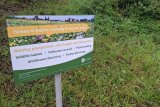 ‘Let it grow’: Cape Town kicks off annual no-mow programme