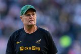 Boks, All Blacks feeling the heat ahead of Auckland Test: Rassie