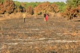Fire devastates community owned farm