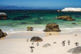 7 coastal experiences you can only do in the Western Cape