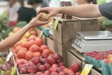 Oranjezicht Market relaunch: Cape Town’s favourite market is back right on the waterfront