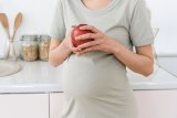 Could gut health hold the key to a healthy pregnancy?