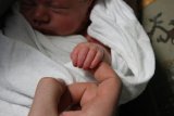 News in a minute | Gauteng Health concerned over baby abductions [video]
