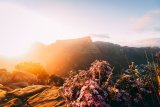 The five best places to visit in South Africa this summer
