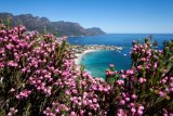 5 picture-perfect sea-view picnic spots in the Western Cape