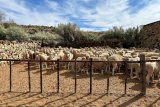 Below-normal rainfall forecast for late winter, spring: farmers urged to prepare