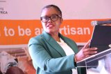 More people deny being on Nkabane's 'independent panel' on Setas