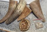 Suspect arrested with rhino horns, diamonds and gold in Ficksburg
