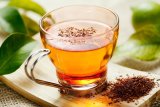 Rooibos tea: Sleep soundly tonight with South Africa’s favourite tea