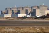Jellyfish-hit French nuclear plant facing delayed restart