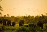 The SA safari park ranked the world’s most Instagrammable