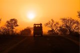 A milestone year: SANParks achieves record revenue in 2024/25