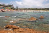 Sardine run prompts closure of 25 KZN beaches to swimmers