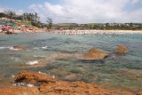 Sardine run: 25 KZN beaches currently closed for swimming
