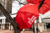 Sex workers plea for arrest moratorium