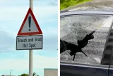 Cape Town smash-and-grab hotspots: Areas to watch out for