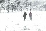 Rare snowfall blankets African city for first time in 25 years