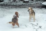 WEATHER: Disruptive SNOWFALL expected in THESE parts of SA