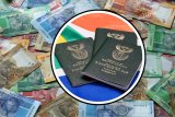 How much are South African passports in 2025?