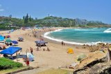 Some South Coast beaches reopen as sardines move offshore