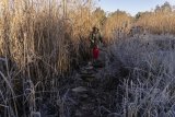 Soweto hiking trail reveals township’s hidden nature