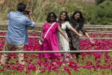 Petals with Purpose: Magaliesberg flower festival donates proceeds to charities