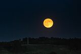 Look up SA: It’s almost time for the last Supermoon of 2025