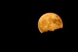 A special full moon will light up South African skies next week