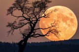 The Beaver Supermoon is coming – and it’s the BIGGEST of 2025
