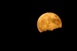 Beaver Moon rising: Why November’s Supermoon is extra special