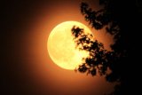 Look up, South Africa: The Harvest Supermoon is out tonight