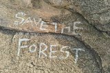 Five rules you should NEVER break on Table Mountain