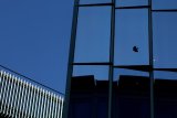 Trump administration mulls taking Fannie Mae and Freddie Mac private