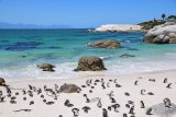 Tourism stats: South Africa sees over 4.2 million visitors this year