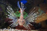 Applications open for Two Oceans Aquarium’s volunteer course