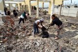Ambitious plan to transform ruins into outdoor theatre