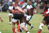 Baby Elephants trample SWD while young Bulldogs struggle to bite into Boland