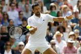 Djokovic easing into old routine as seeds hit back at Wimbledon