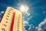 Rising temperatures bring fire concerns in Gauteng