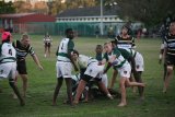 Tough start for Eastern Cape sides in U13 Craven Week