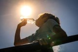 Warmer temperatures expected across Gauteng