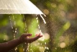Wet conditions set to grip Gauteng