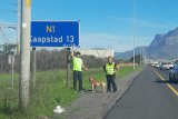 News24 | Joburg woman finishes epic N1 walk to Cape Town for husband’s rare disease 10 days early