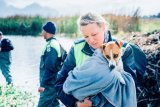 News24 | Cape Town storm: About 30 animals in distress across the city rescued amid heavy downpours