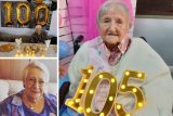 News24 | SEE | 100 not out! These 3 SA grannies celebrated a century of birthdays