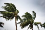 News24 | Wednesday’s weather: Damaging winds for Eastern Cape and KZN; cold and cool for rest of SA