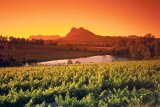 Cape Town: Say goodbye to winter, but not for long…