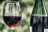 South Africa seeks ‘gas-for-wine’ deal with Canada