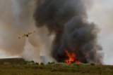 WATCH | Wildfires fanned by heatwave and strong winds rage across Europe